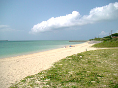 ���l���E�׍�(���΂���)�̕l