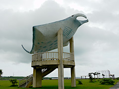 �C�l�����E�}���^�̑�