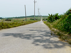 ���l���E�V���K�[���[�h