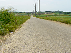 ���l���E�V���K�[���[�h